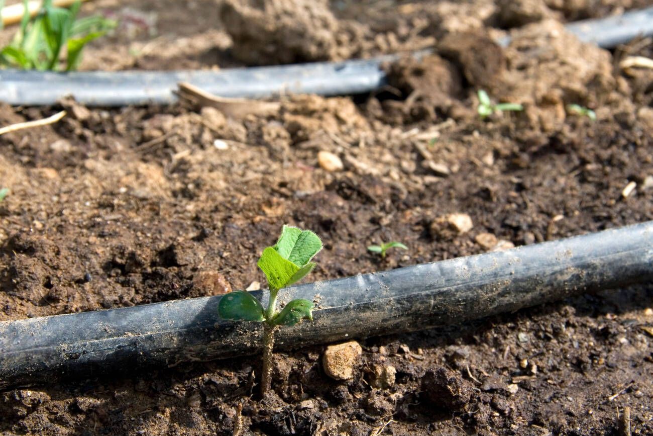 info-1300-867 info-1300-867